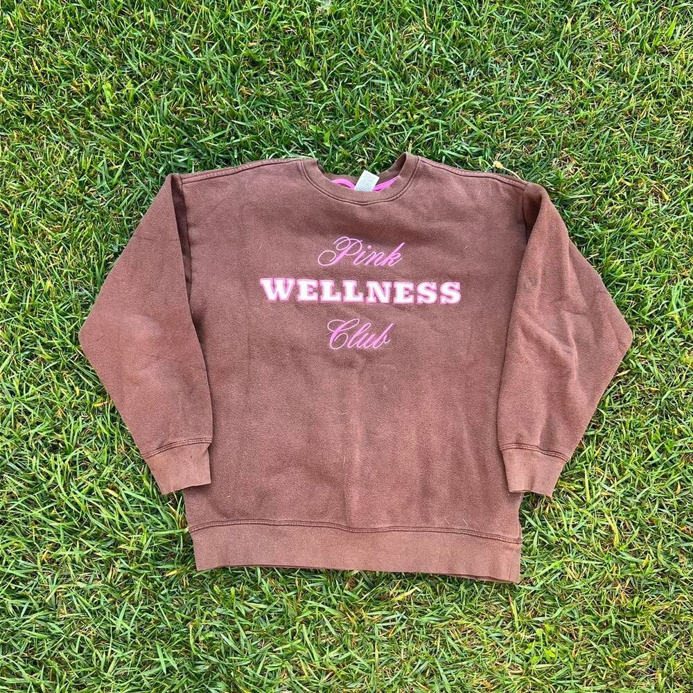 Pink wellness club women’s size S Small y2k brown sweater